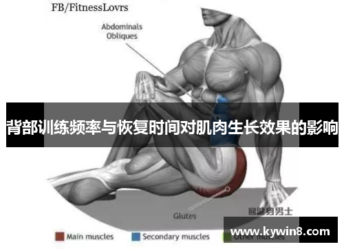 背部训练频率与恢复时间对肌肉生长效果的影响